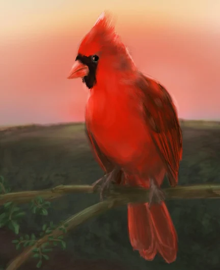 7401c2ad-031a-4a49-b91a-ed9c695f3160-_f8gins9ka.webp